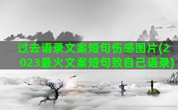 过去语录文案短句伤感图片(2023最火文案短句致自己语录)