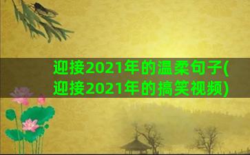 迎接2021年的温柔句子(迎接2021年的搞笑视频)