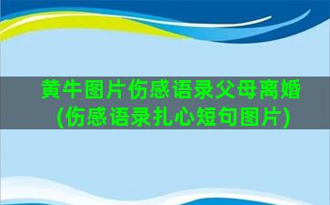 黄牛图片伤感语录父母离婚(伤感语录扎心短句图片)